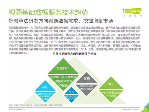 中国人工智能基础数据服务行业深度洞察 助力人工智能软件开发基石